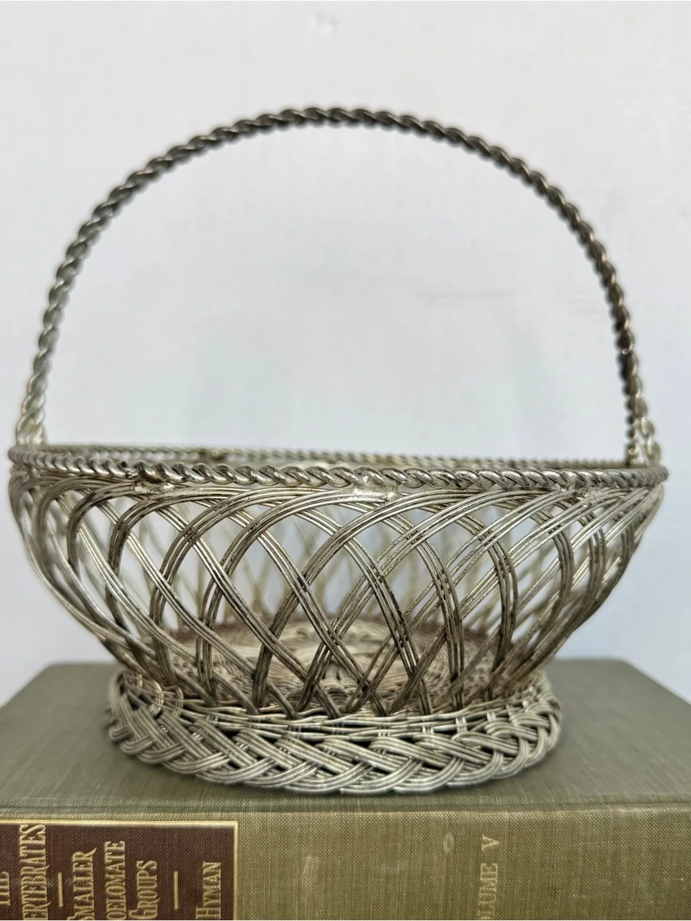 Vintage Silver Woven Wire Basket with Handle Decorative Home Accent